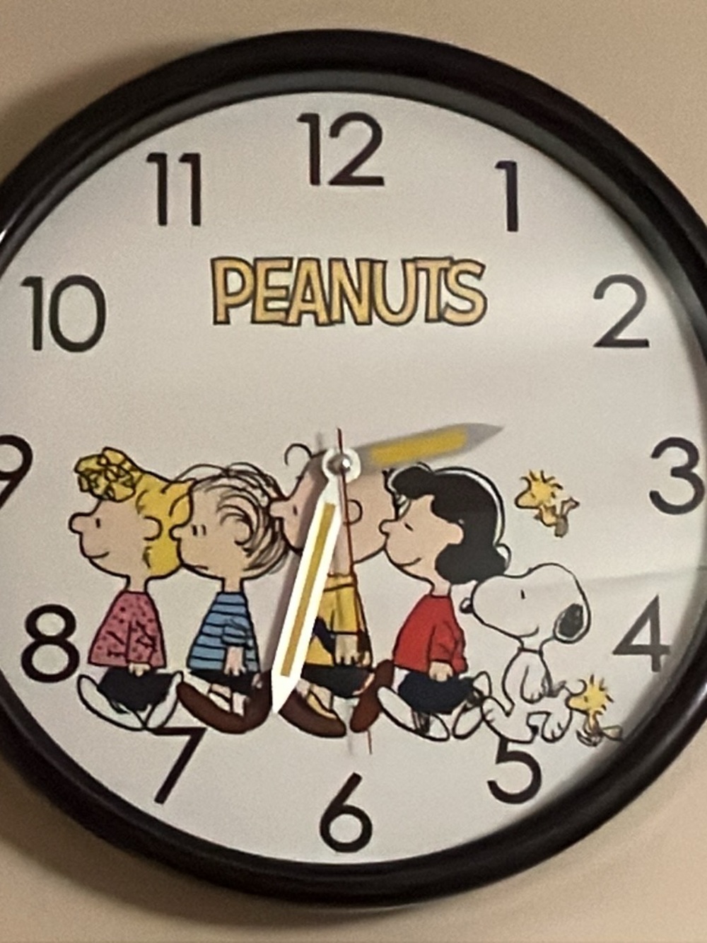 Peanuts/ Charlie Brown 12” Wall Clock. Works great and adorable.